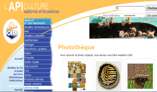 thumbnail - Photothèque du CARI